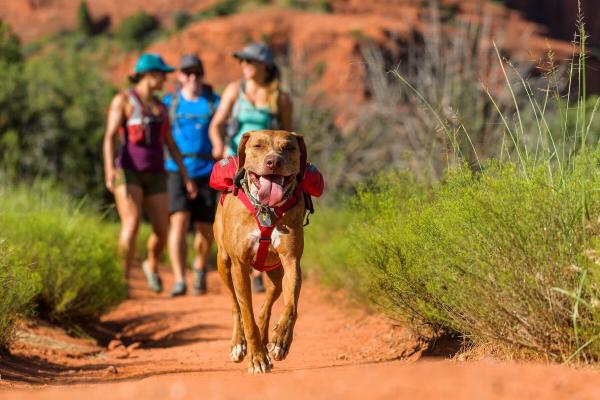 Ruffwear Singletrak Pack Red Currant Gr. L/XL Ruffwear Singletrak Pack Red Currant Gr. L/XL